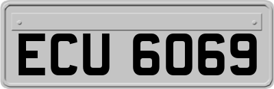 ECU6069