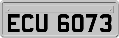 ECU6073