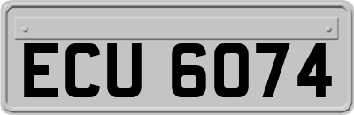 ECU6074