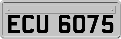 ECU6075