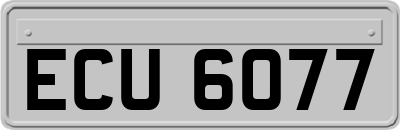 ECU6077