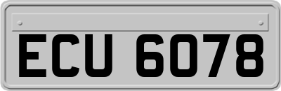 ECU6078