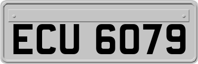 ECU6079