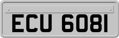 ECU6081