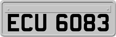 ECU6083