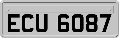 ECU6087