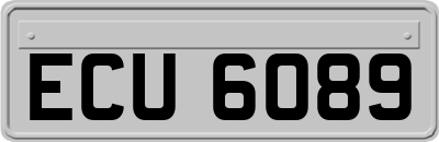 ECU6089