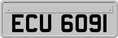 ECU6091