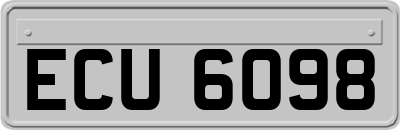ECU6098
