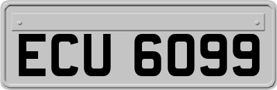 ECU6099
