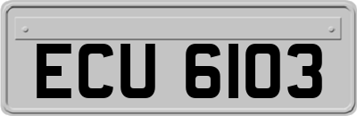 ECU6103