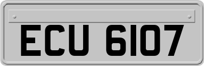 ECU6107