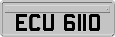 ECU6110