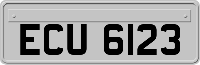 ECU6123