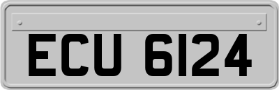 ECU6124