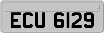 ECU6129