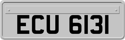 ECU6131