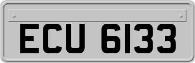 ECU6133