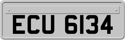 ECU6134