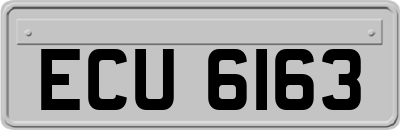 ECU6163