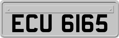 ECU6165