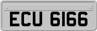 ECU6166
