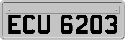 ECU6203