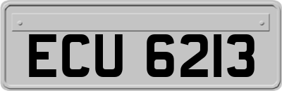 ECU6213