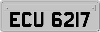 ECU6217