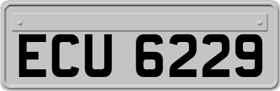 ECU6229