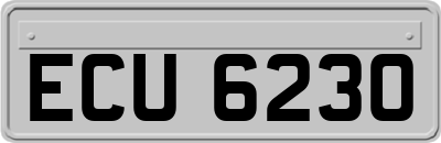 ECU6230