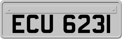 ECU6231