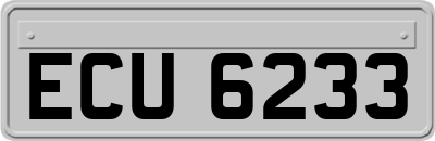 ECU6233