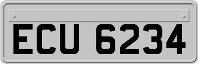 ECU6234