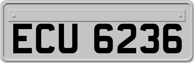 ECU6236