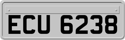 ECU6238