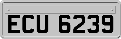 ECU6239