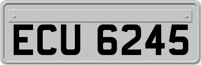 ECU6245