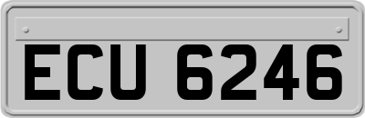 ECU6246