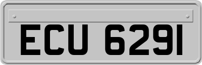 ECU6291