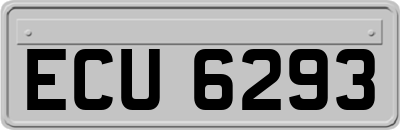 ECU6293
