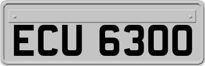 ECU6300