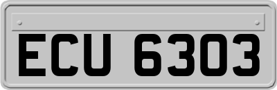 ECU6303