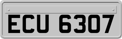 ECU6307