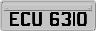 ECU6310