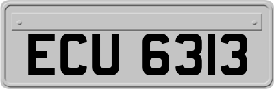 ECU6313