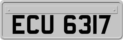 ECU6317