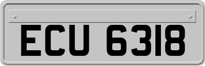 ECU6318
