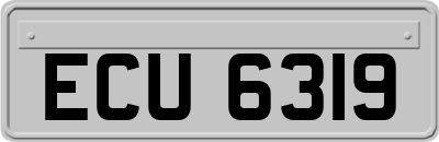 ECU6319
