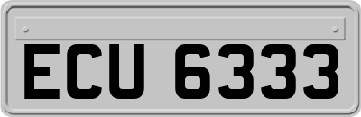 ECU6333